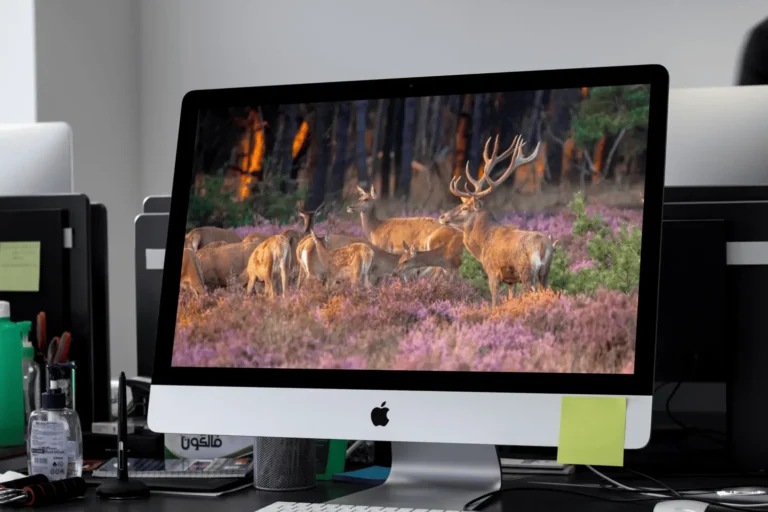 Website laten maken Dieren vanaf € 350 - Webdesign Dieren